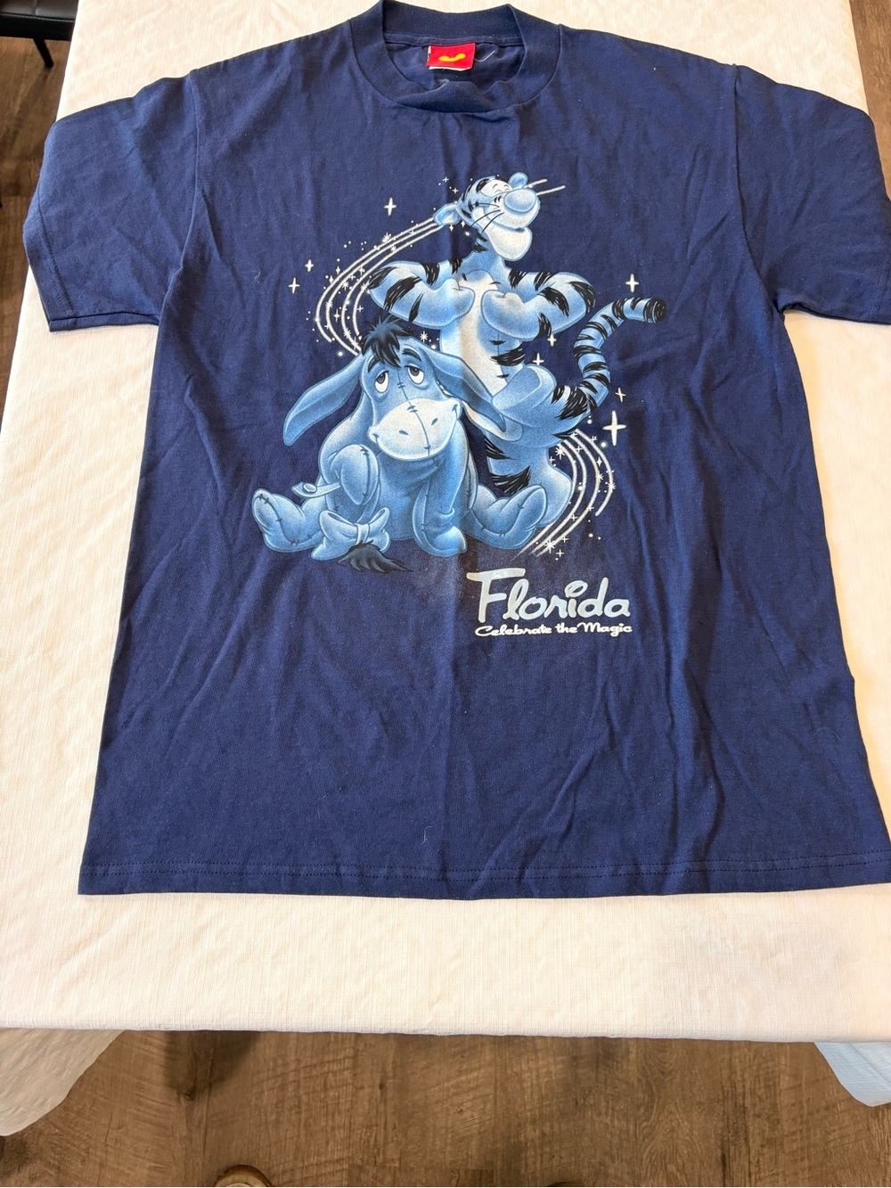 Disney Navy Blue Eeyore & Tigger Florida Graphic Tee